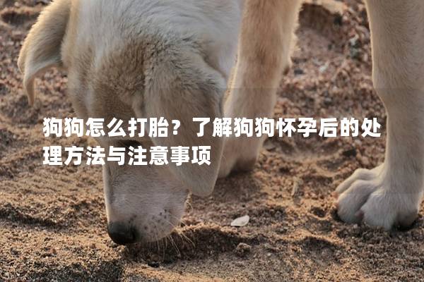 狗狗怎么打胎？了解狗狗怀孕后的处理方法与注意事项