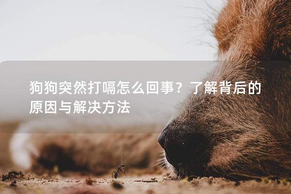 狗狗突然打嗝怎么回事？了解背后的原因与解决方法