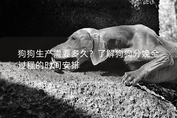狗<a href=