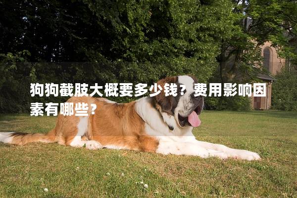 狗狗截肢大概要多少钱？费用影响因素有哪些？