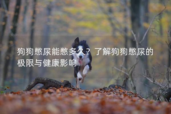 狗狗憋尿能憋多久？了解狗狗憋尿的极限与健康影响