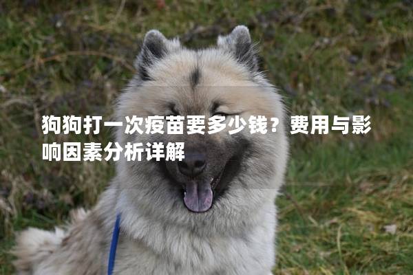 狗狗打一次疫苗要多少钱？费用与影响因素分析详解
