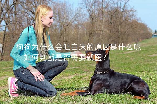 狗狗为什么会吐白沫的原因是什么呢，如何判断是否需要就医？