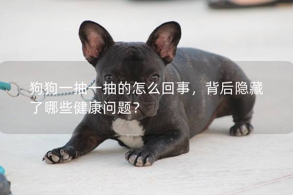 狗狗一抽一抽的怎么回事，背后隐藏了哪些健康问题？