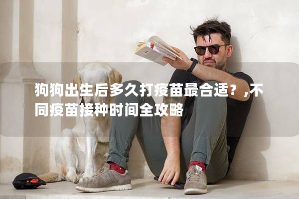 狗狗出生后多久打疫苗最合适？,不同疫苗接种时间全攻略