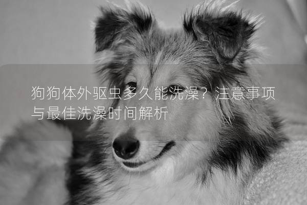 狗狗体外驱虫多久能洗澡？注意事项与最佳洗澡时间解析