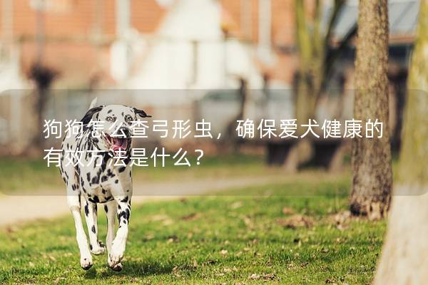 狗狗怎么查弓形虫，确保爱犬健康的有效方法是什么？