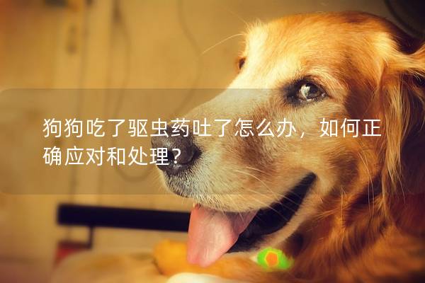狗狗吃了驱虫药吐了怎么办，如何正确应对和处理？