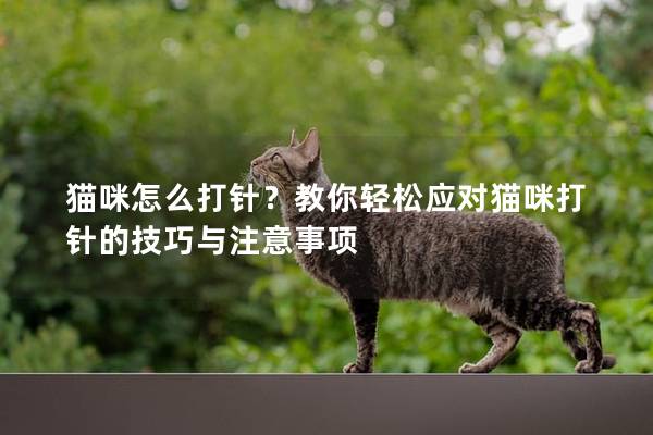 猫咪怎么打针？教你轻松应对猫咪打针的技巧与注意事项