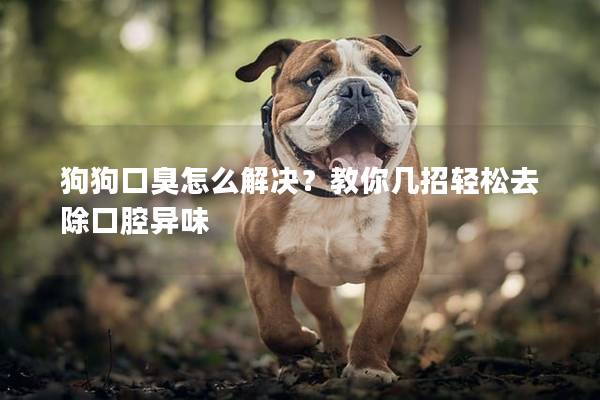 狗狗口臭怎么解决？教你几招轻松去除口腔异味