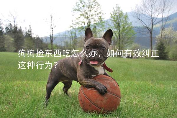 狗狗捡东西吃怎么办，如何有效纠正这种行为？
