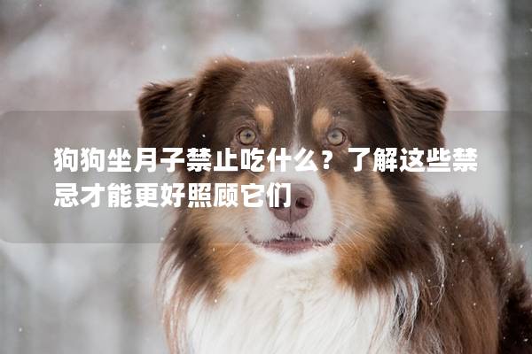 狗狗坐月子禁止吃什么？了解这些禁忌才能更好照顾它们