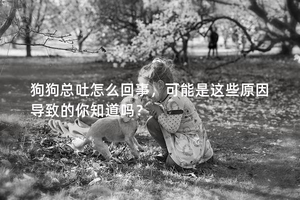 狗狗总吐怎么回事，可能是这些原因导致的你知道吗？
