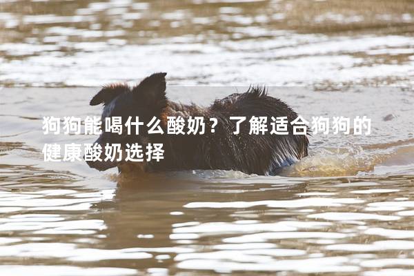 狗狗能喝什么酸奶？了解适合狗狗的健康酸奶选择