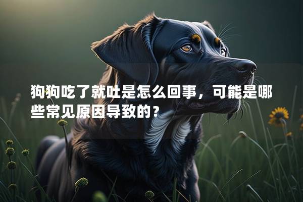 狗狗吃了就吐是怎么回事，可能是哪些常见原因导致的？