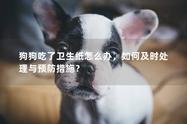 狗狗吃了卫生纸怎么办，如何及时处理与预防措施？