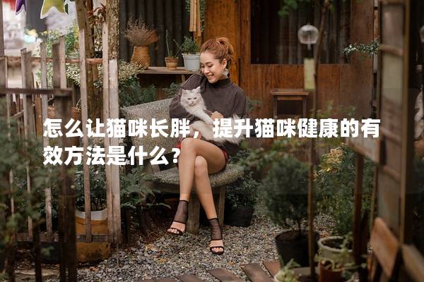 怎么让猫咪长胖，提升猫咪健康的有效方法是什么？