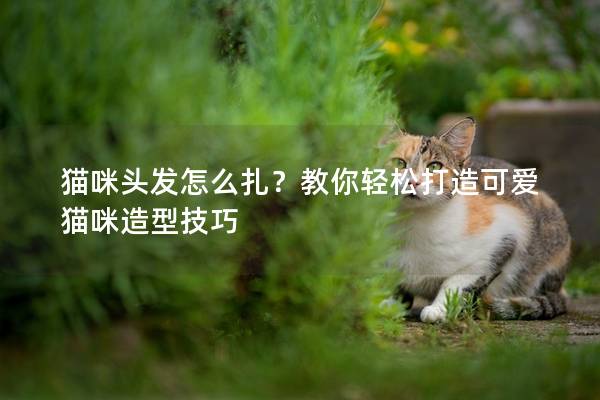 猫咪头发怎么扎？教你轻松打造可爱猫咪造型技巧