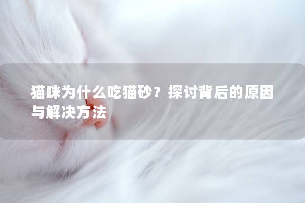 猫咪为什么吃猫砂？探讨背后的原因与解决方法