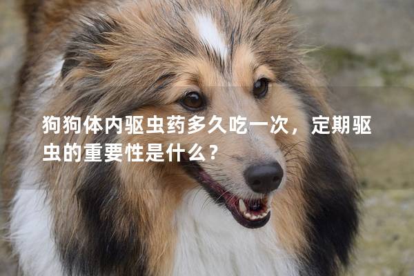 狗狗体内驱虫药多久吃一次，定期驱虫的重要性是什么？