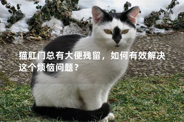猫肛门总有大便残留，如何有效解决这个烦恼问题？