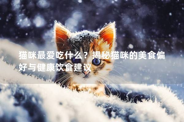 猫咪最爱吃什么？揭秘猫咪的美食偏好与健康饮食建议