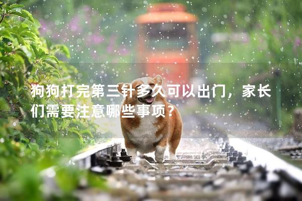 狗狗打完第三针多久可以出门，家长们需要注意哪些事项？