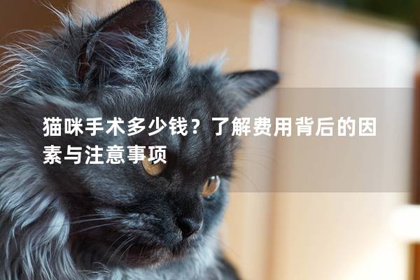 猫咪手术多少钱？了解费用背后的因素与注意事项