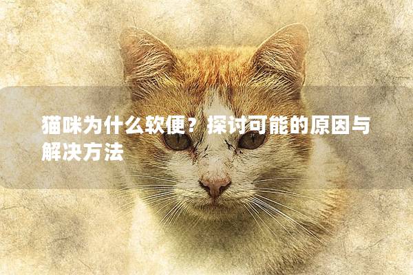 猫咪为什么软便？探讨可能的原因与解决方法