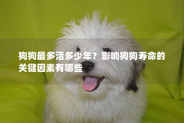 狗狗最多活多少年？影响狗狗寿命的关键因素有哪些