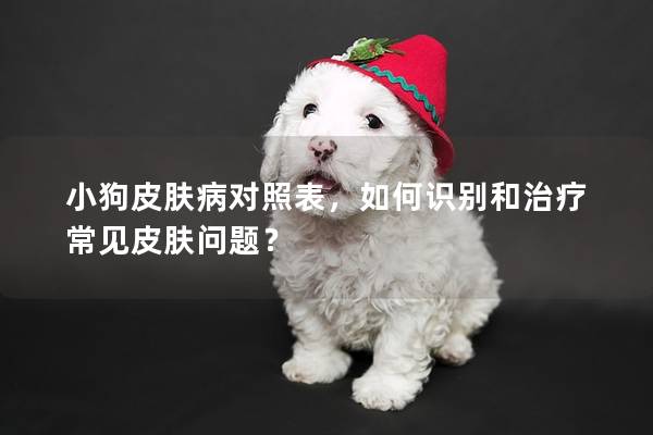 小狗皮肤病对照表，如何识别和治疗常见皮肤问题？