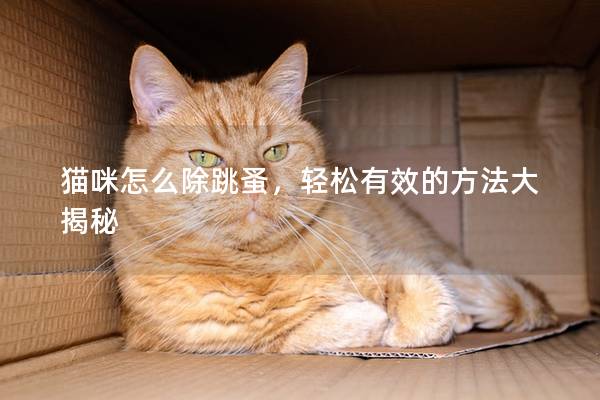 猫咪怎么除跳蚤，轻松有效的方法大揭秘