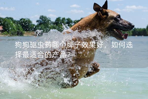狗狗驱虫药哪个牌子效果好，如何选择最适合的产品？