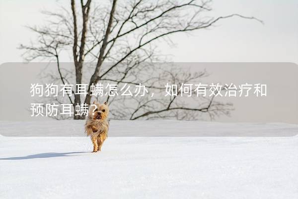 狗狗有耳螨怎么办，如何有效治疗和预防耳螨？