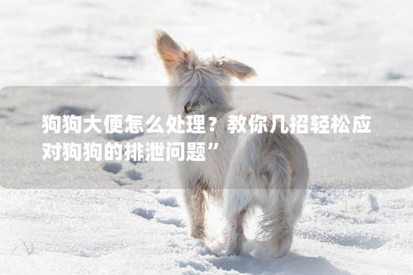 狗狗大便怎么处理？教你几招轻松应对狗狗的排泄问题”