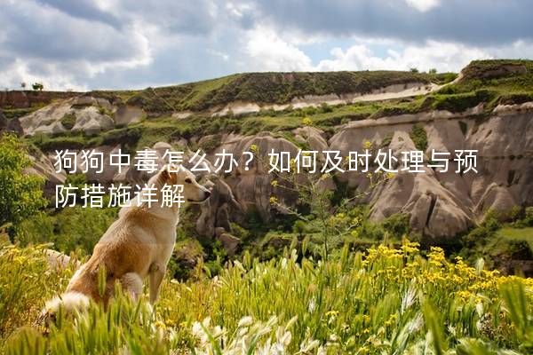 狗狗中毒怎么办？如何及时处理与预防措施详解