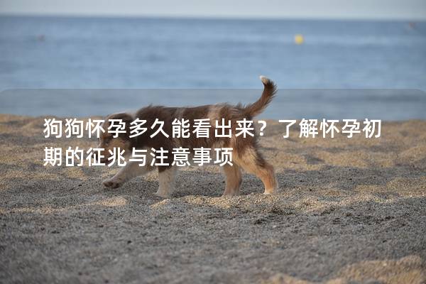 狗狗怀孕多久能看出来？了解怀孕初期的征兆与注意事项