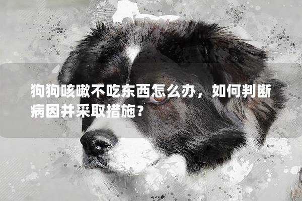 狗狗咳嗽不吃东西怎么办，如何判断病因并采取措施？