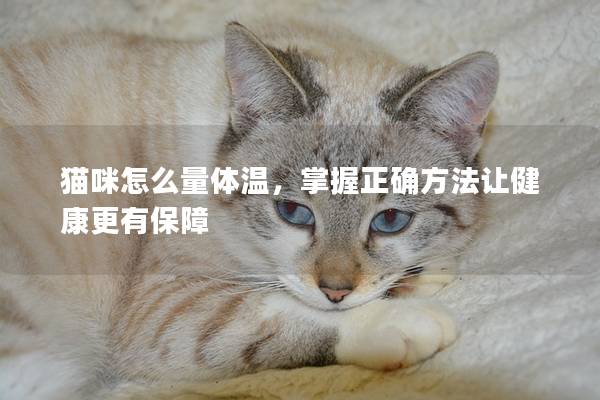 猫咪怎么量体温，掌握正确方法让健康更有保障