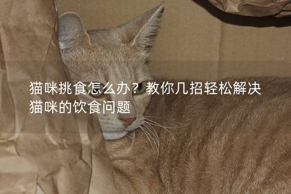 猫咪挑食怎么办？教你几招轻松解决猫咪的饮食问题