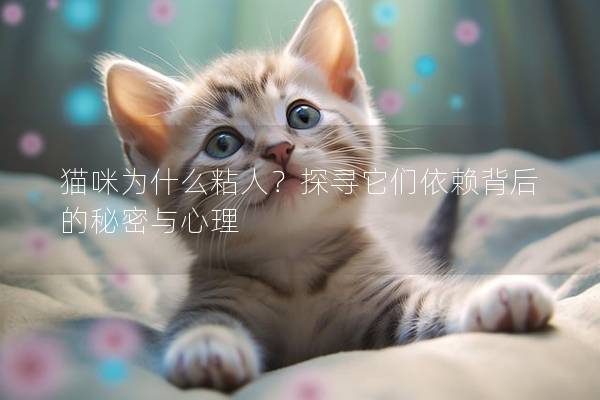 猫咪为什么粘人？探寻它们依赖背后的秘密与心理