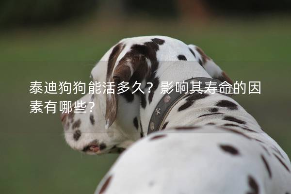 泰迪狗狗能活多久？影响其寿命的因素有哪些？