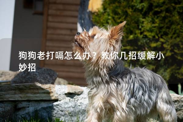 狗狗老打嗝怎么办？教你几招缓解小妙招