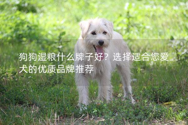 狗狗湿粮什么牌子好？选择适合您爱犬的优质品牌推荐