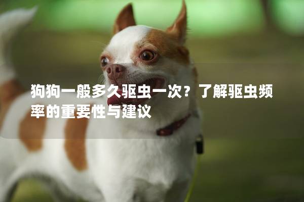 狗狗一般多久驱虫一次？了解驱虫频率的重要性与建议