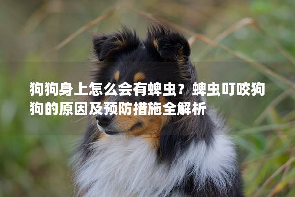 狗狗身上怎么会有蜱虫？蜱虫叮咬狗狗的原因及预防措施全解析