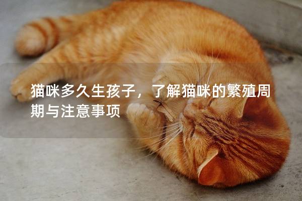 猫咪多久生孩子，了解猫咪的繁殖周期与注意事项