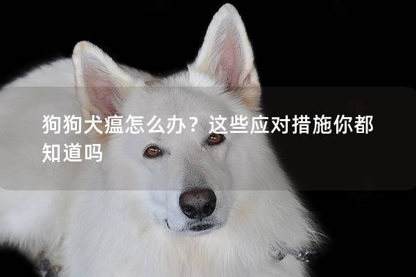狗狗犬瘟怎么办？这些应对措施你都知道吗