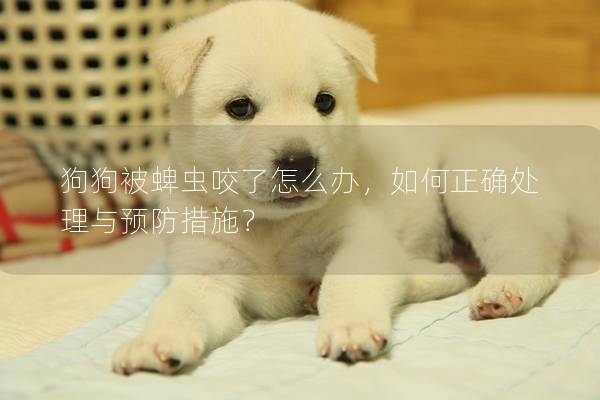 狗狗被蜱虫咬了怎么办，如何正确处理与预防措施？