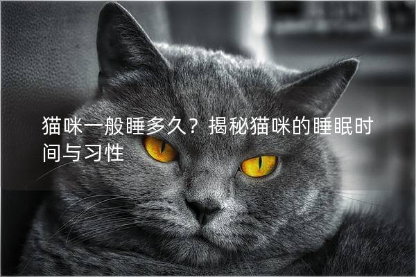 猫咪一般睡多久？揭秘猫咪的睡眠时间与习性